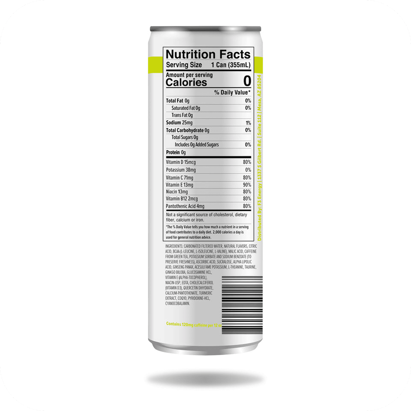 A single monstera leaf in a clear glass vase against a white background.