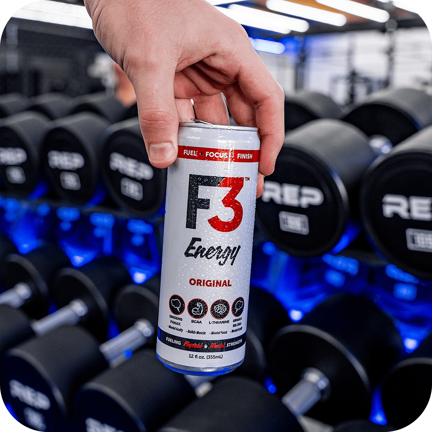 A single palm leaf in a clear glass of water on a white background.