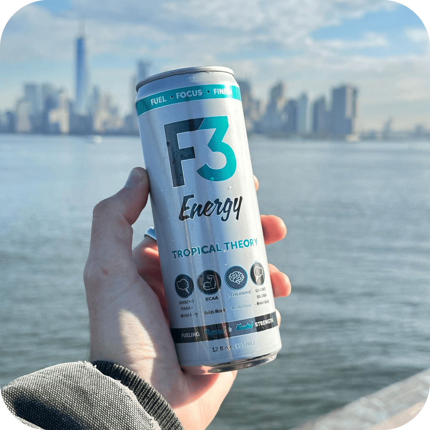 A single palm leaf in a clear glass of water on a white background.