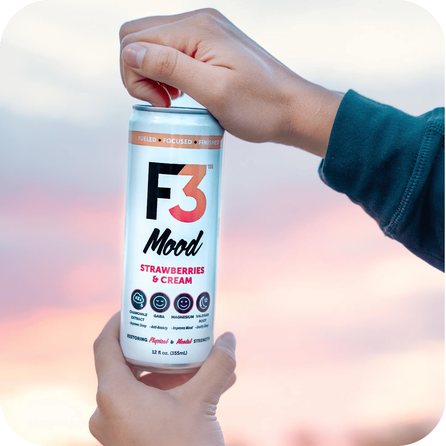 A single palm leaf in a clear glass of water on a white background.