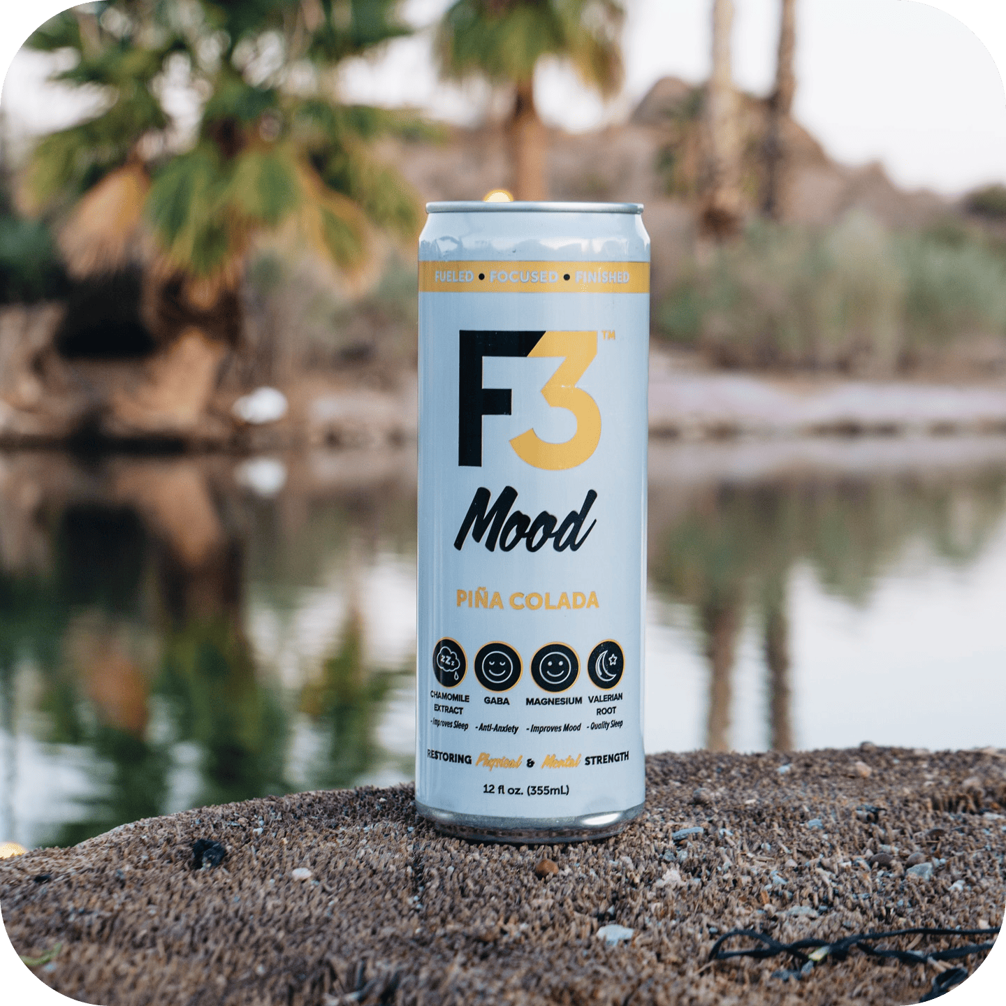 A single palm leaf in a clear glass of water on a white background.